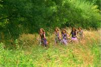 Кадр Дикие курочки и любовь