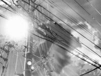 Кадр Она и ее кот (видео)