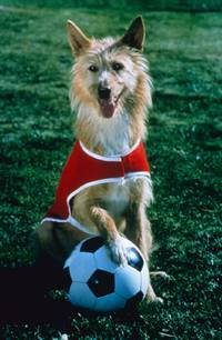 Кадр Король футбола