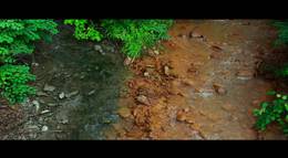 Кадр из фильма "Time to Choose" - 2