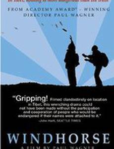 Дикая лошадь