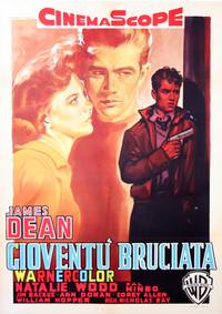 Постер Бунтарь без идеала