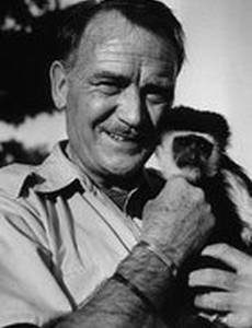 Ковбой в Африке