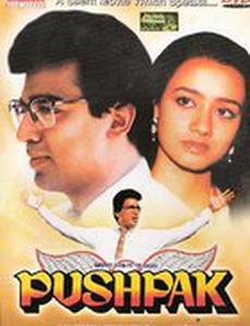 Отель «Пушпак»