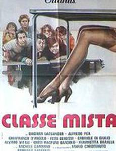 Смешанный класс