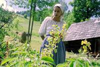 Кадр Желяры