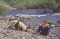 Кадр Удивительное приключение панды