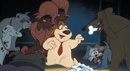 Кадр из фильма "Пес из Лас-Вегаса" - 2