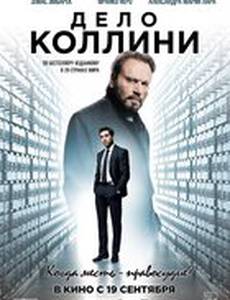 Дело Коллини
