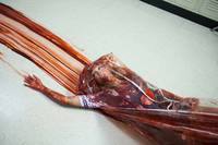 Кадр Кошмар на улице Вязов