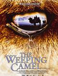 Постер из фильма "Рассказ плачущего верблюда" - 1