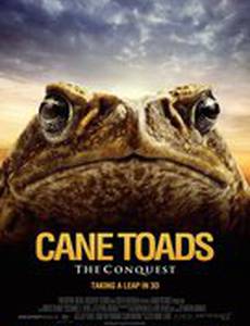 Тростниковые жабы: Оккупация