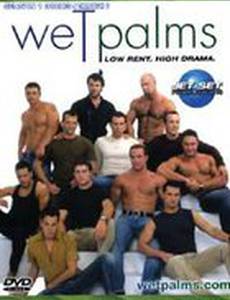 Wet Palms
