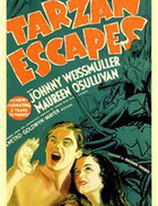 Спасение Тарзана