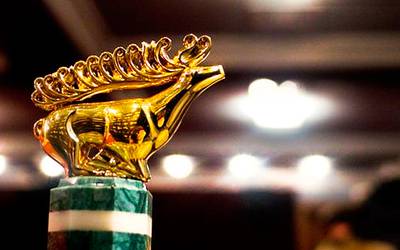 Чем запомнилась «Молодость-2013»: бриллианты, гениталии и мед