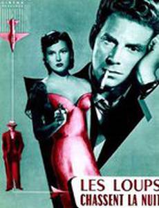 Волки охотятся ночью