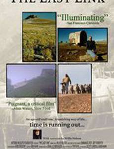 The Last Link