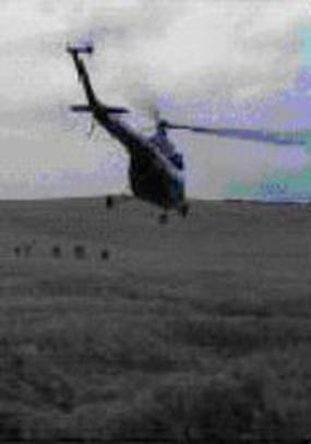 Перед рассветом