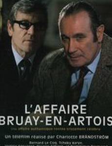 Дело Брюэй-ан-Артуа