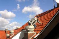 Кадр Звездочет (мини-сериал)