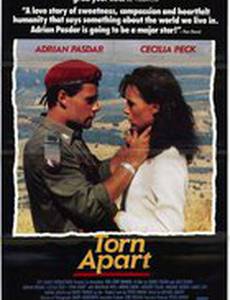 Torn Apart