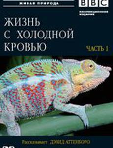 BBC: Жизнь с холодной кровью