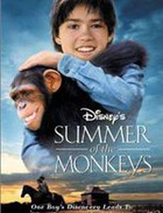 Неприятности с обезьянками