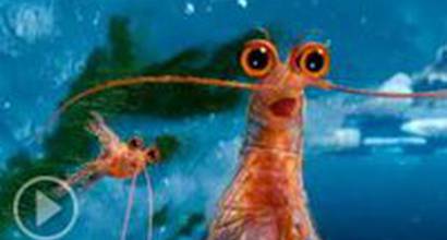 Фрагмент №4