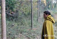 Кадр Таинственный лес