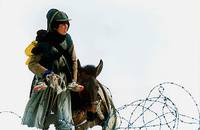 Кадр Время пьяных лошадей