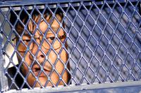 Кадр Тройной перехват