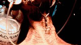 Кадр из фильма "Экстро 3: Проклятие небес" - 1