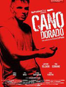 Золотистая труба