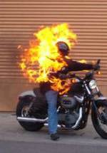 Джо Мерфи фото