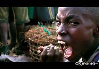 Кадр Кошмар Дарвина