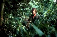 Кадр Без вести пропавшие