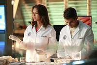 Кадр C.S.I.: Майами