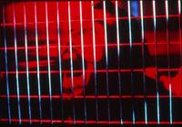 Кадр Протеус