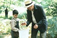 Кадр Язык бабочек