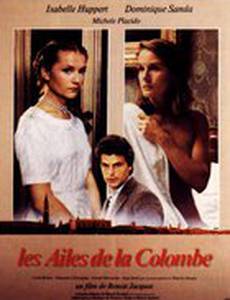 Крылья голубки