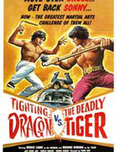 Shen long xiao hu chuang jiang hu