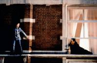 Кадр Беспокойный свидетель