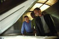 Кадр Слоеный торт