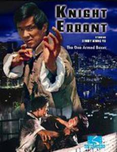 Странствующий рыцарь