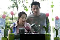 Кадр Подсолнух