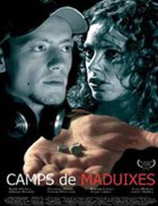 Земляничные поля