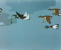 Кадр Лягушка-путешественница