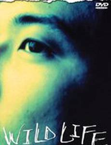 Дикая жизнь