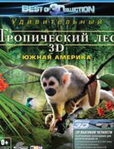 Тропический лес 3D (видео)