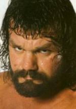 Стив Уильямс фото